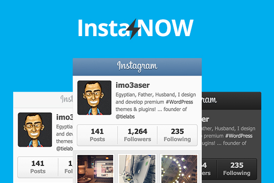 instagram wordpress plugin instanow - instagram followers widget wordpress