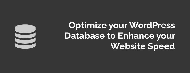WordPress Database Optimization